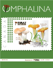 Omphalina-X-4.pdf