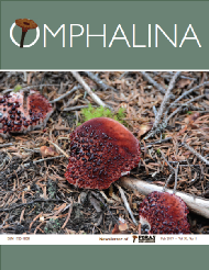 Omphalina_XI-2.pdf