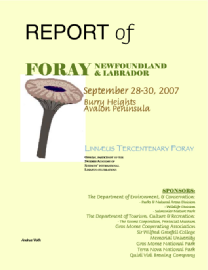 2007_foray_report.pdf